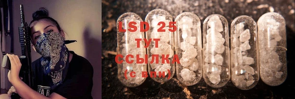 PSILOCYBIN Бронницы