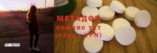 индика Володарск