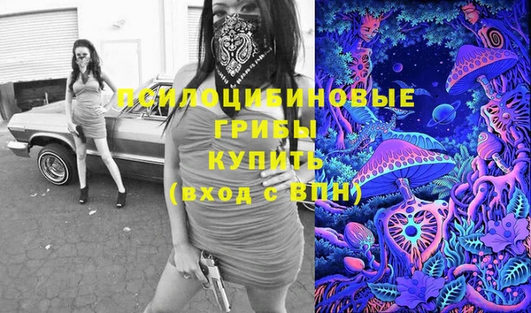 сатива Волоколамск