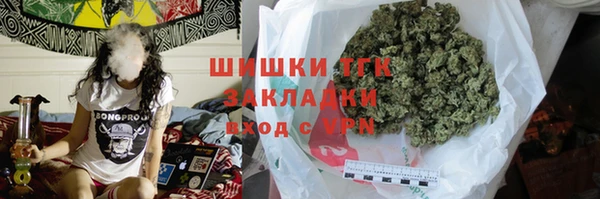 индика Володарск
