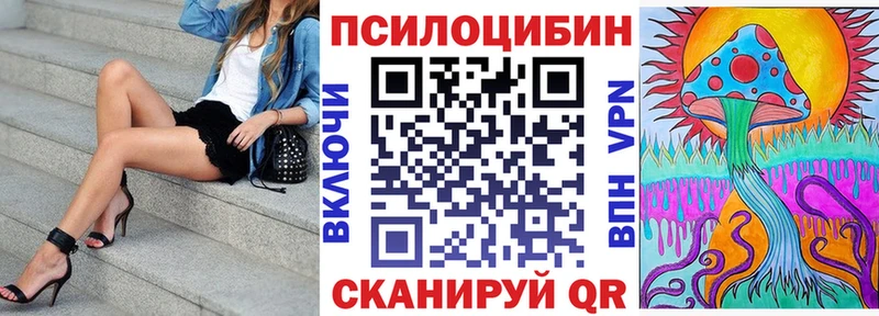 купить наркоту  Кимовск  Псилоцибиновые грибы прущие грибы 